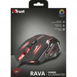 Rato Trust GXT Rava  Illuminated
