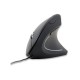 RATO GEMBIRD ERGONOMICA 6 BOTEOS USB 2.0